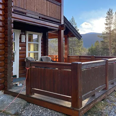 Pet Friendly In Lesjaskog With Wifi Vakantiehuis