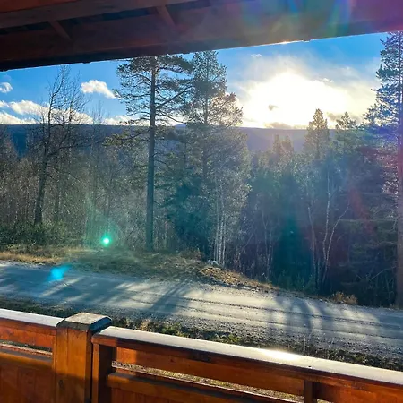 Pet Friendly In Lesjaskog With Wifi *