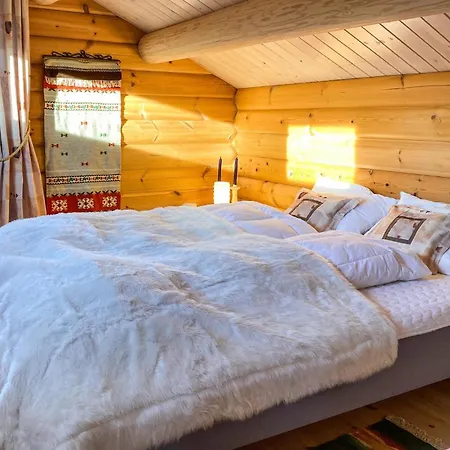 Pet Friendly In Lesjaskog With Wifi *