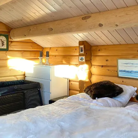 Pet Friendly In Lesjaskog With Wifi Semesterbostad